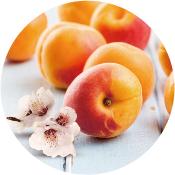 APRICOT